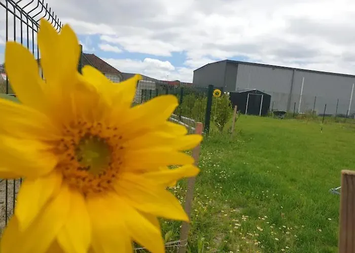 Chambre Calme Dans Une Maison Neuve Avec Jardin