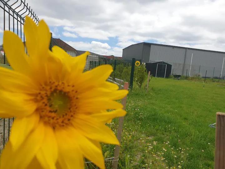 Calme Dans Maison Neuve Avec Jardin Homestay